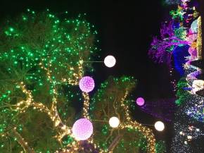 アチムゴヨ樹木園