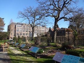 ライデン大学付属植物園