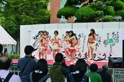 【　ミルクセーキライブ　】